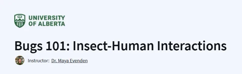 Bugs 101: Insect-Human Interactions Course