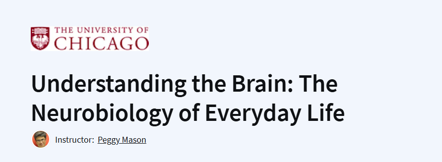 Understanding the Brain: The Neurobiology of Everyday Life Course