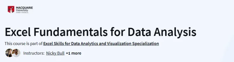 Excel Fundamentals for Data Analysis Course