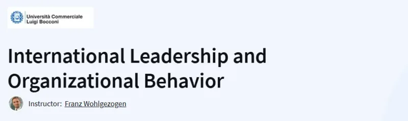 International Leadership and Organizational Behavior Course