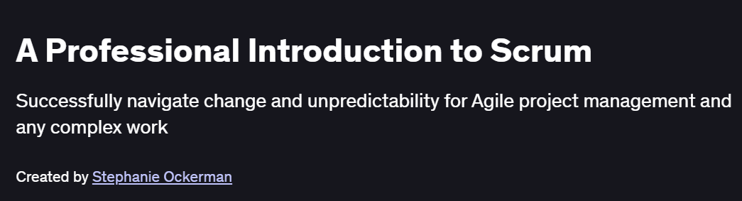A Professional Introduction to Scrum Course