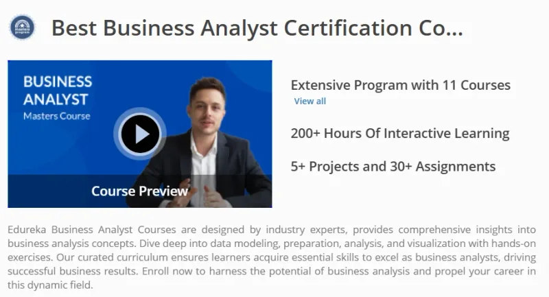 Business Analyst Course