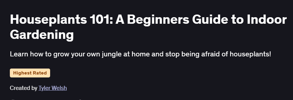 Houseplants 101: A Beginners Guide to Indoor Gardening Course