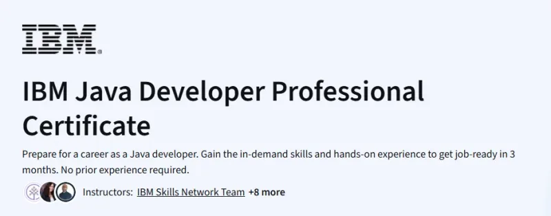IBM Java Developer Professional Certificate Course