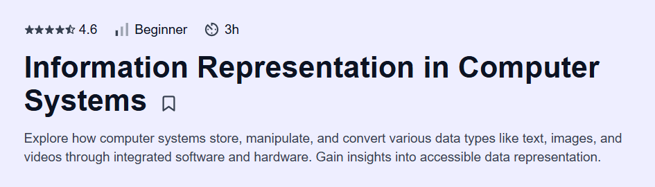 Information Representation in Computer Systems Course