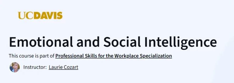 Emotional and Social Intelligence course