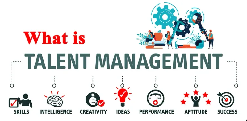 What Is Talent Management?