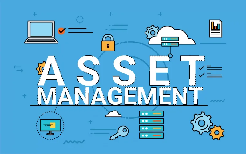 What is Asset management?