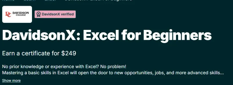 DavidsonX: Excel for Beginners course