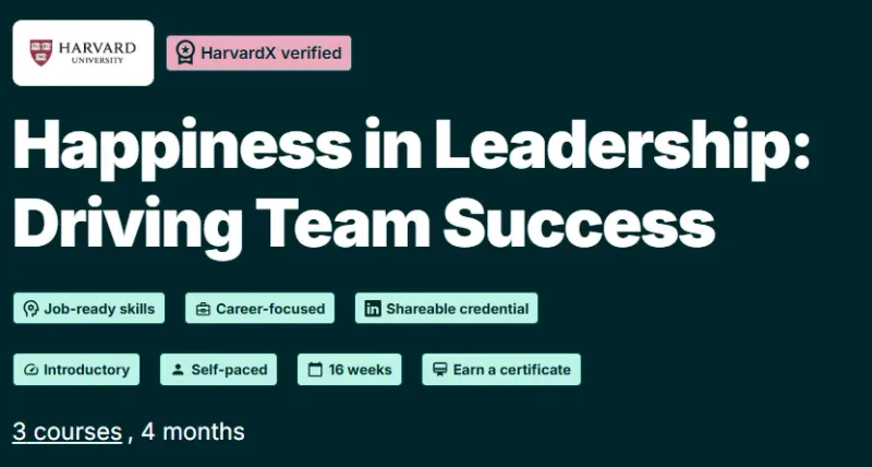 Happiness in Leadership: Driving Team Success course