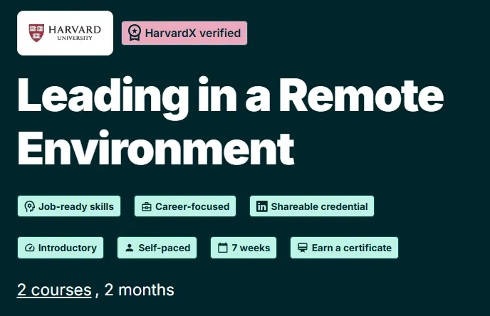 Leading in a Remote Environment course