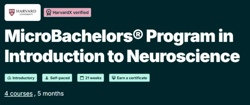 MicroBachelors® Program in Introduction to Neuroscience course
